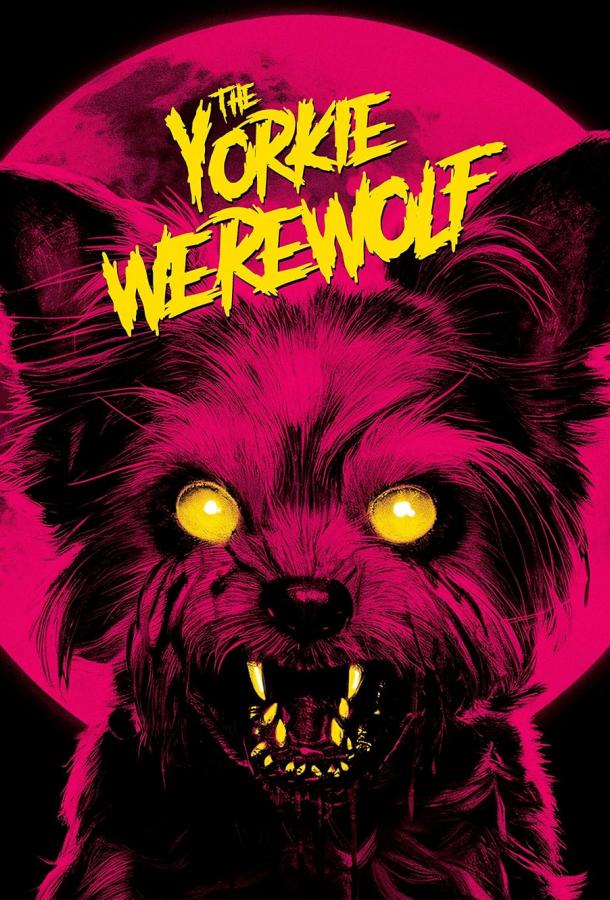 The Yorkie Werewolf