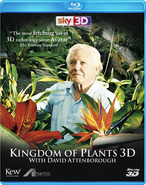 Kingdom of Plants 3D