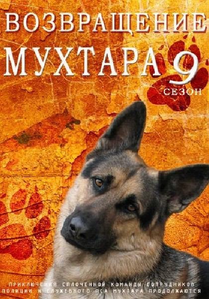 Возвращение Мухтара 9 (сериал)