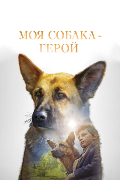 Shepherd: The Story of a Jewish Dog