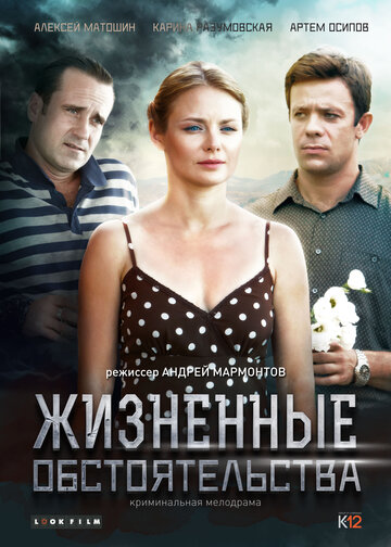 Жизненные обстоятельства (мини-сериал)