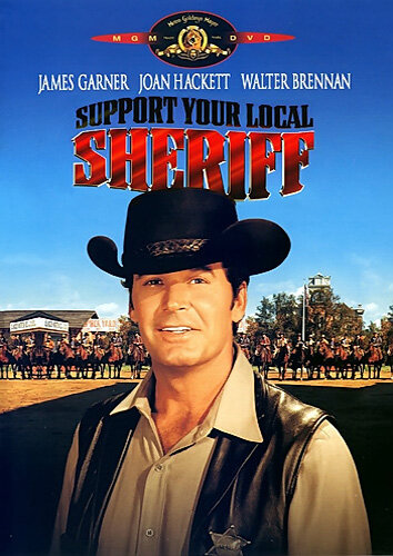 Support Your Local Sheriff!