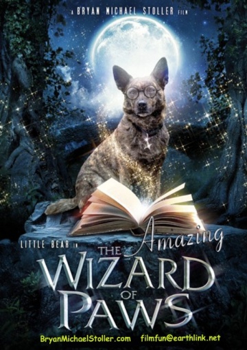 The Amazing Wizard of Paws