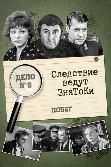 Следствие ведут знатоки: Побег (сериал)