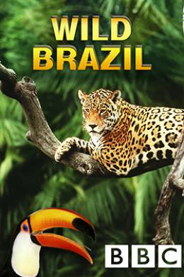 Wild Brazil