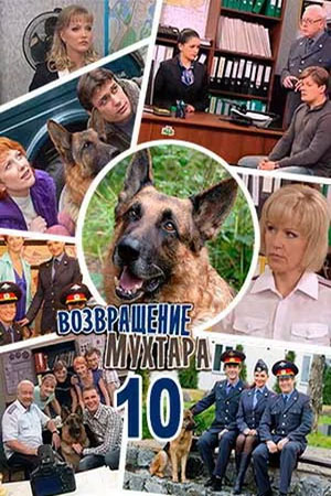 Возвращение Мухтара 10 (сериал)