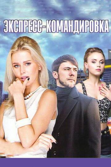 Экспресс-командировка (мини-сериал)